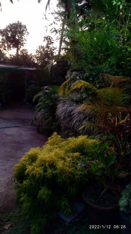 Fab Valley Homestay Munnar Extérieur photo