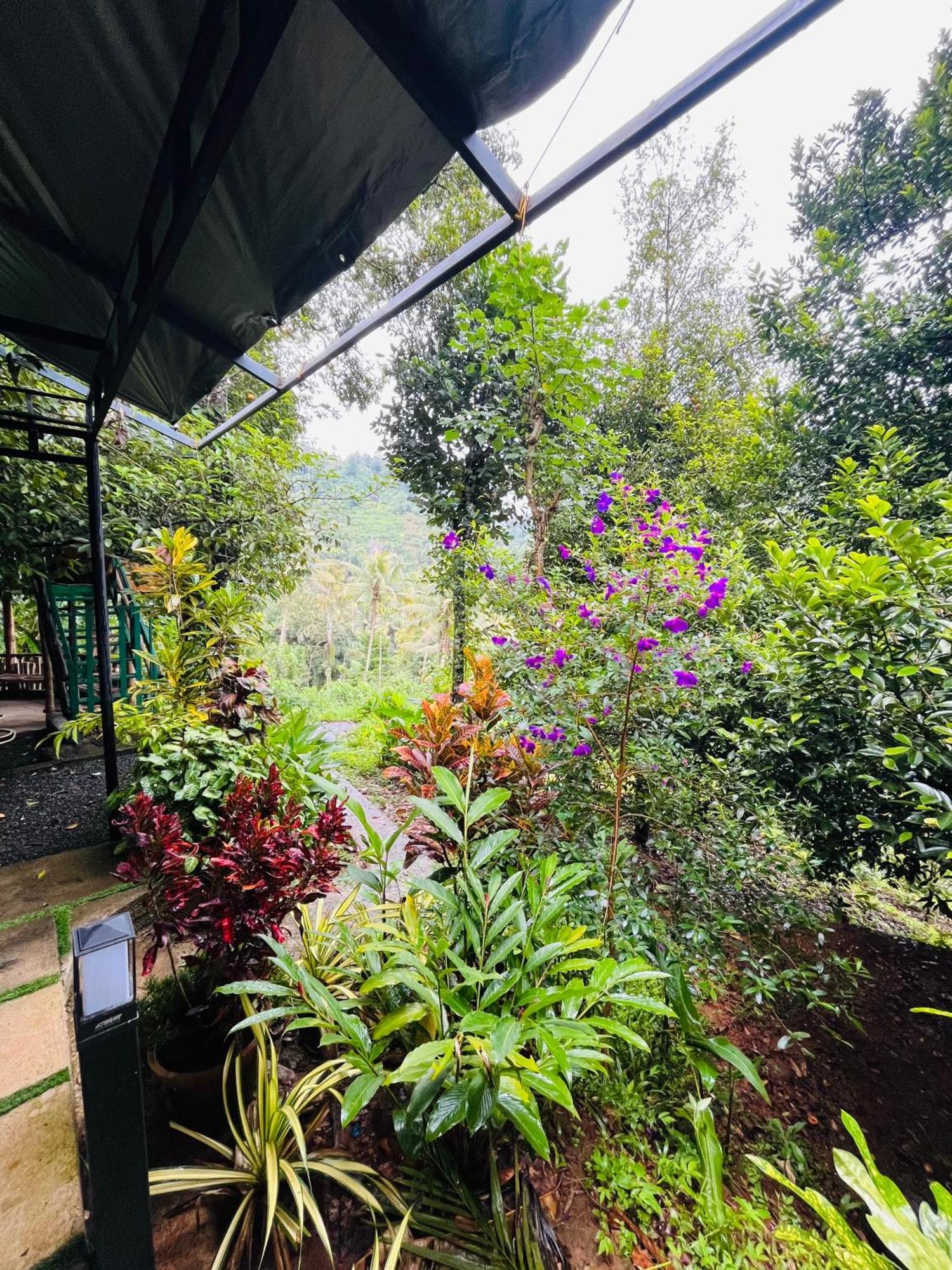 Fab Valley Homestay Munnar Extérieur photo