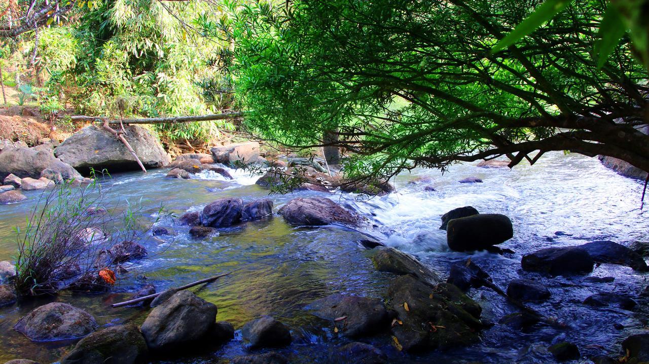 Fab Valley Homestay Munnar Extérieur photo